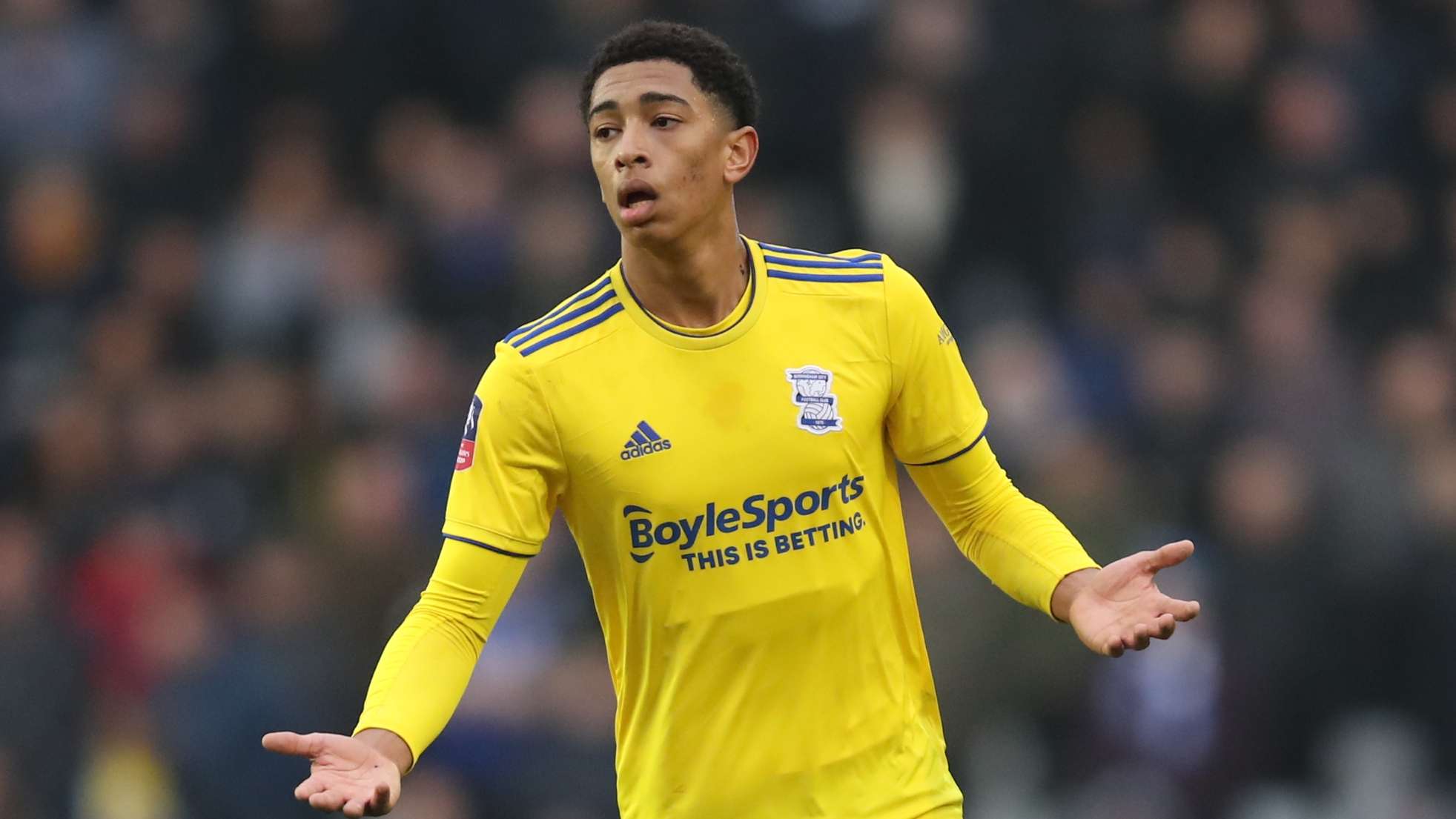 疑是最重要 疑是最重要